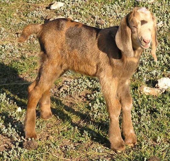 Carl, 04/12/10